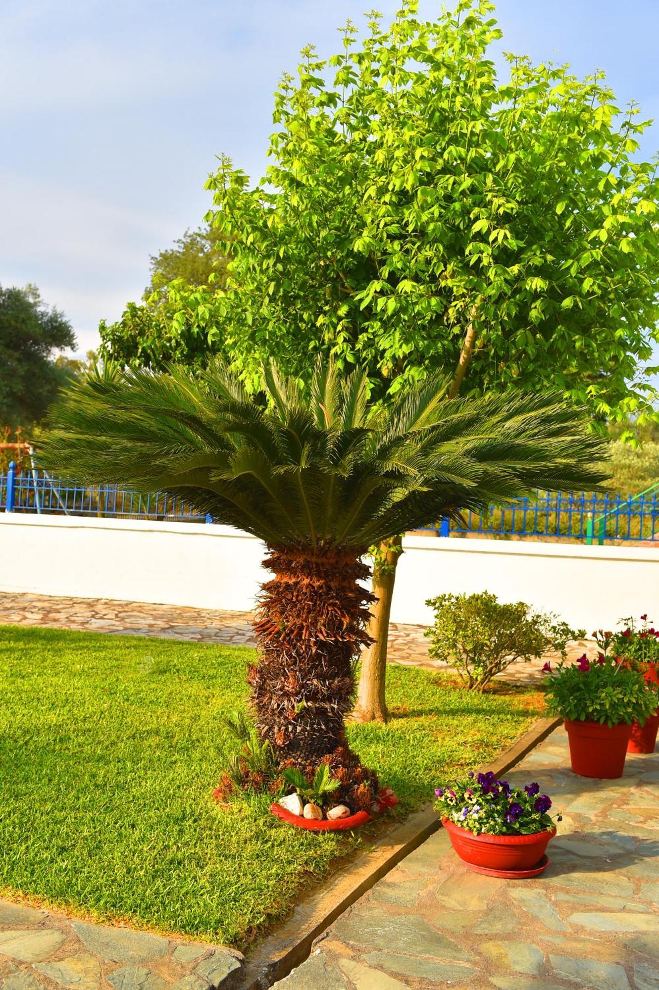Villa Elpida Канали Екстериор снимка
